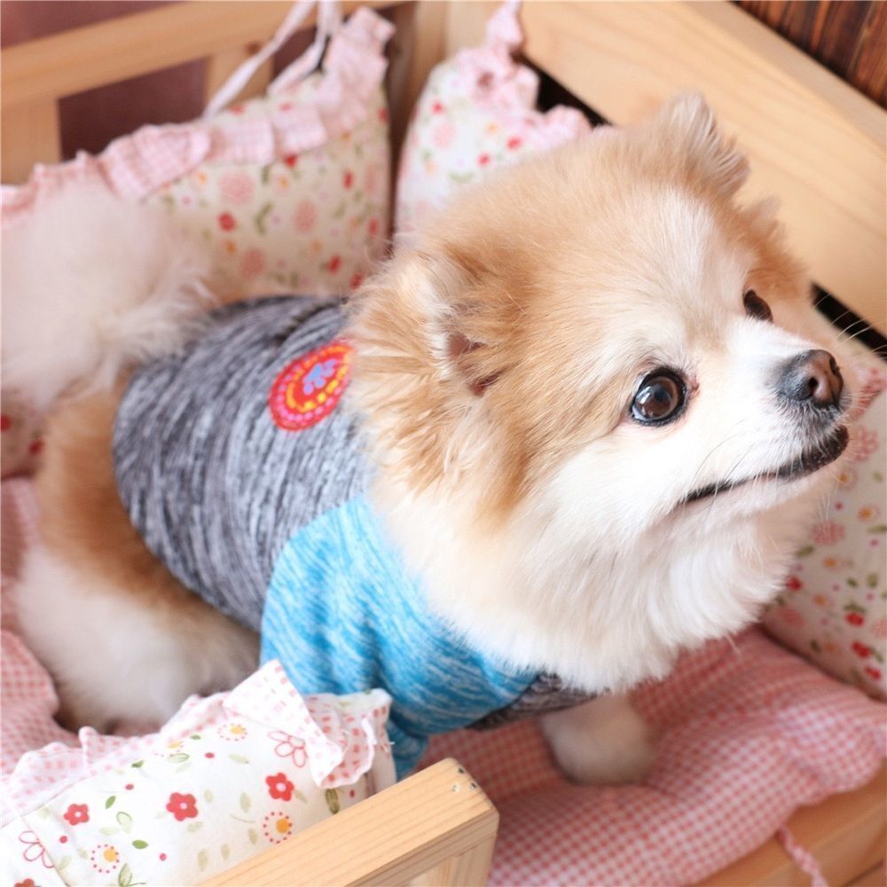 💖MOST FAV💖 Warm Hug Me Pet Clothes - Picture 2 of 11
